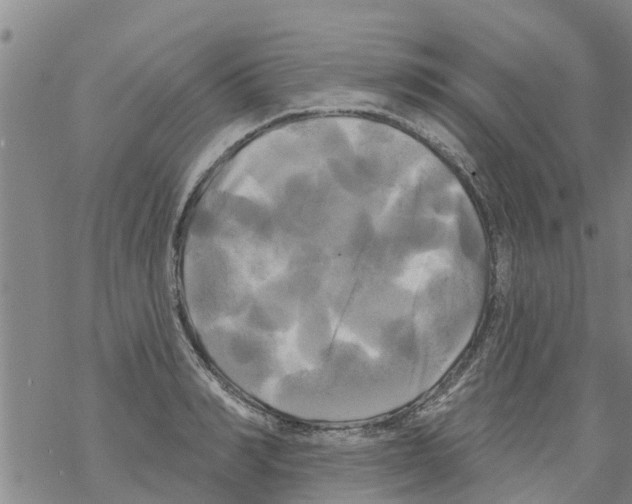 X0000068770990200605262202