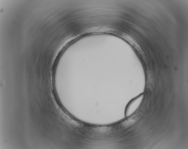 X0000068770992200605262202