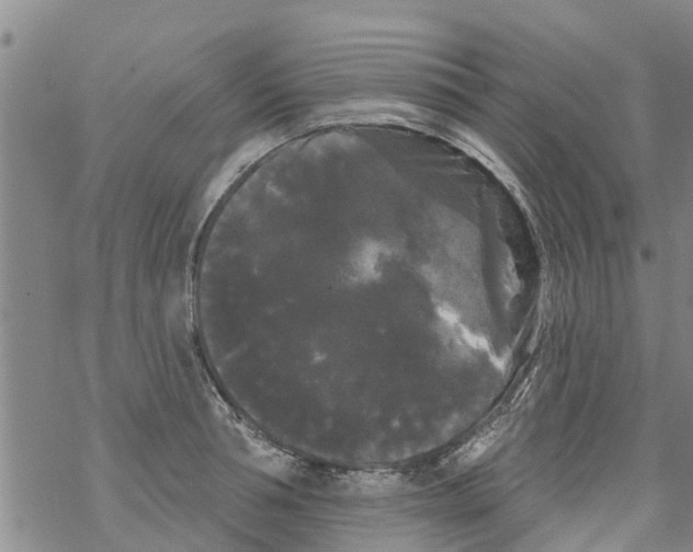 X0000068770994200605262201