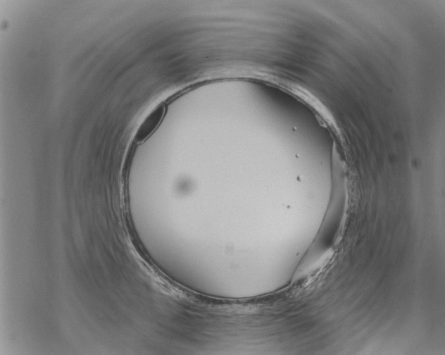 X0000068770996200605262201