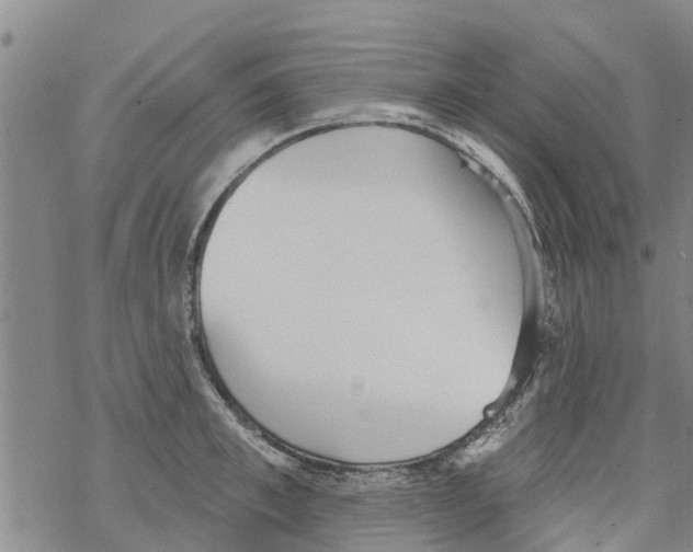 X0000068770997200605262201