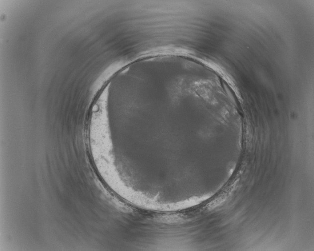 X0000068770998200605262201