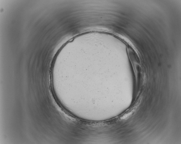 X0000068770999200605262201