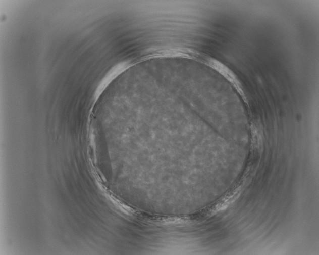 X0000068771002200605262201