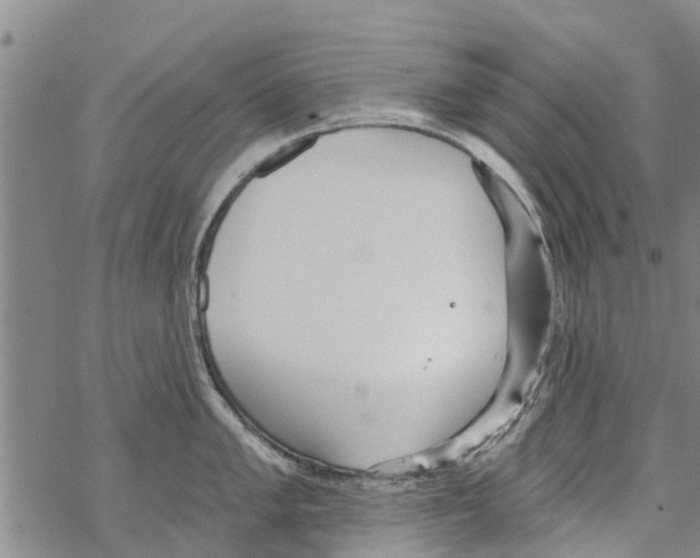 X0000068771005200605262201