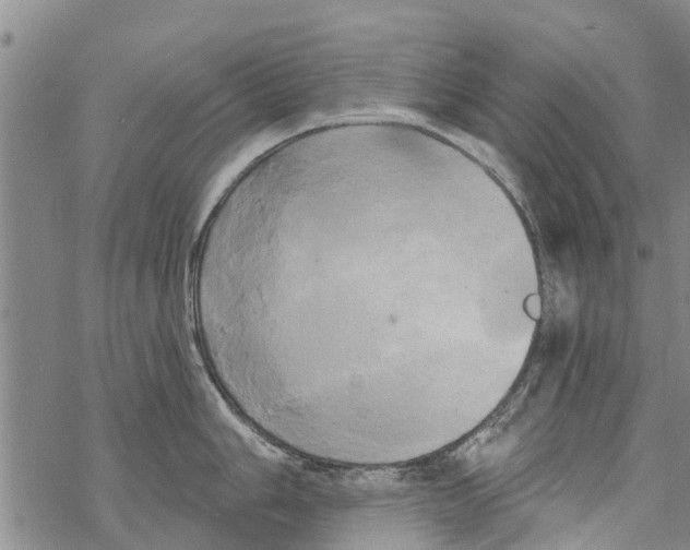 X0000068771006200605262201