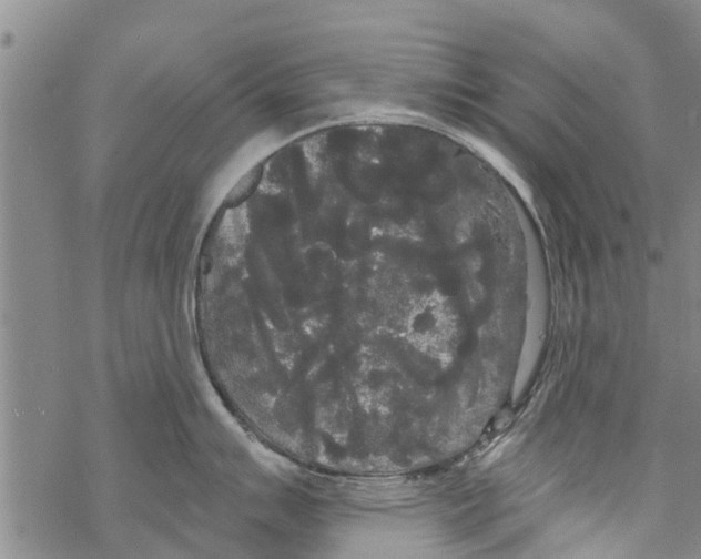 X0000068771007200605262201