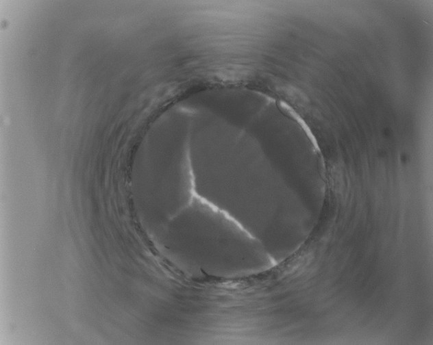 X0000068771009200605262200