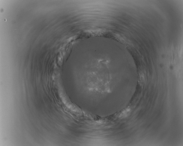 X0000068771010200605262201