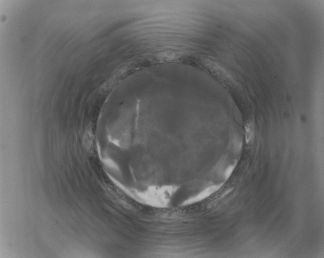 X0000068771011200605262201