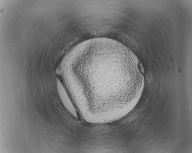 X0000068771012200605262201