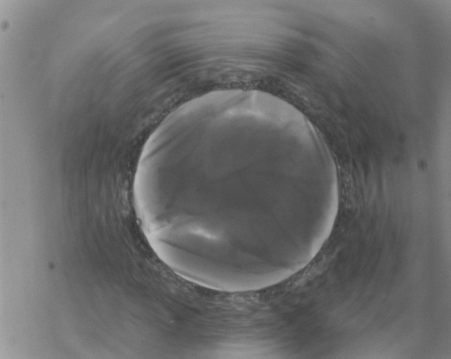 X0000068771013200605262201