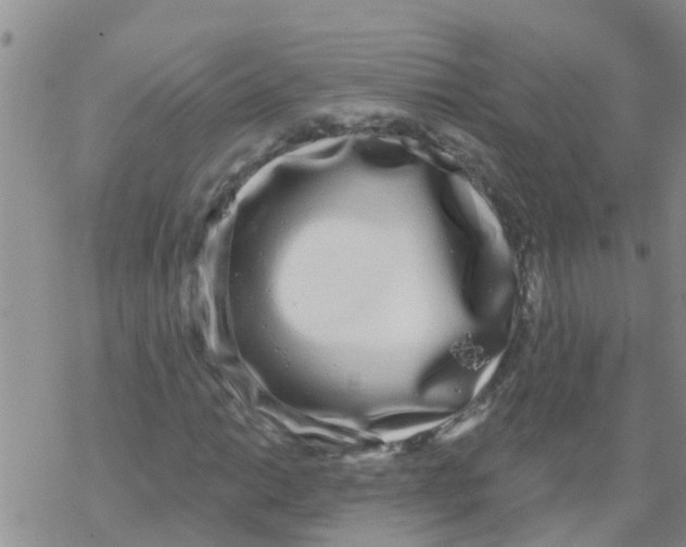 X0000068771014200605262201