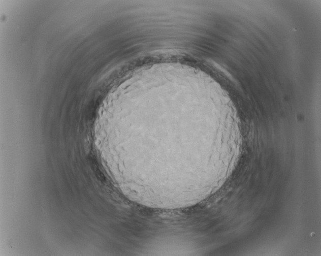 X0000068771015200605262201