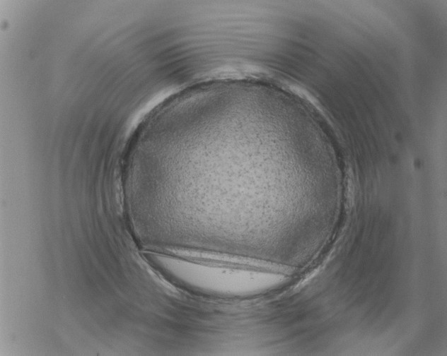 X0000068771018200605262201