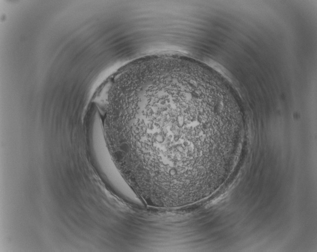 X0000068771022200605262201