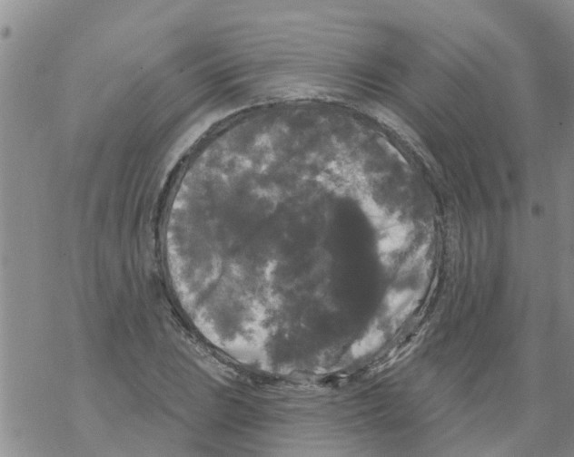 X0000068771023200605262201