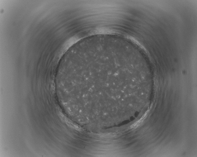 X0000068771025200605262201