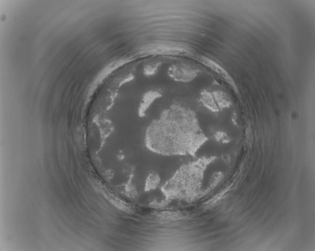 X0000068771027200605262201