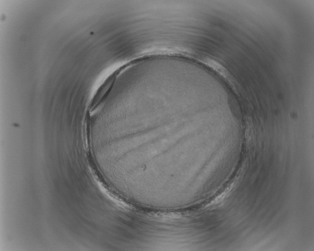 X0000068771030200605262201