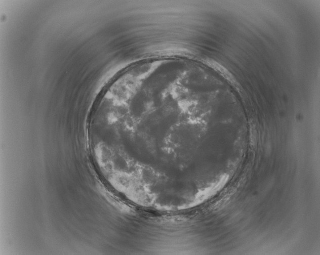 X0000068771031200605262201