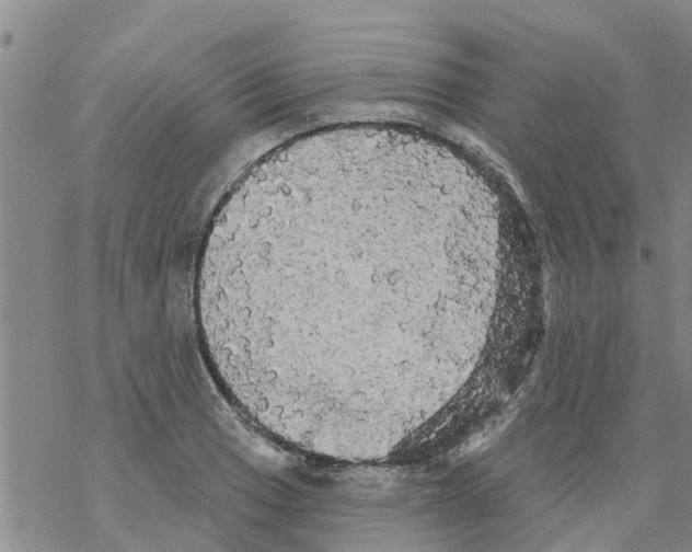 X0000068771033200605262201