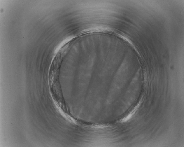 X0000068771034200605262201