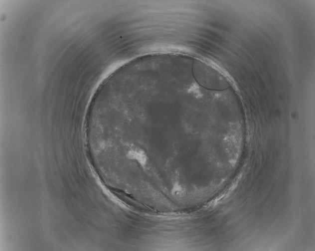 X0000068771037200605262201