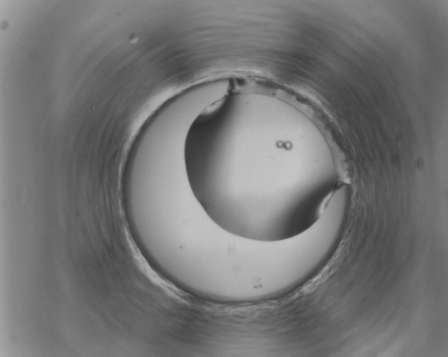 X0000068771038200605262201