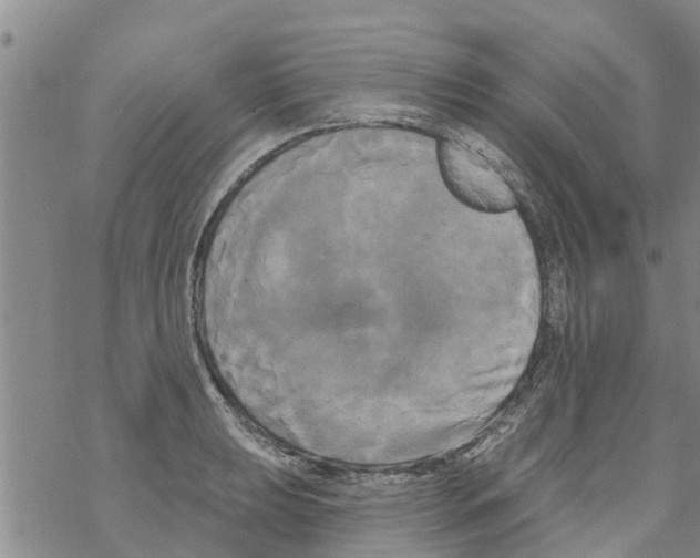 X0000068771039200605262201