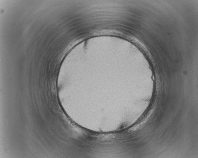 X0000068771041200605262201