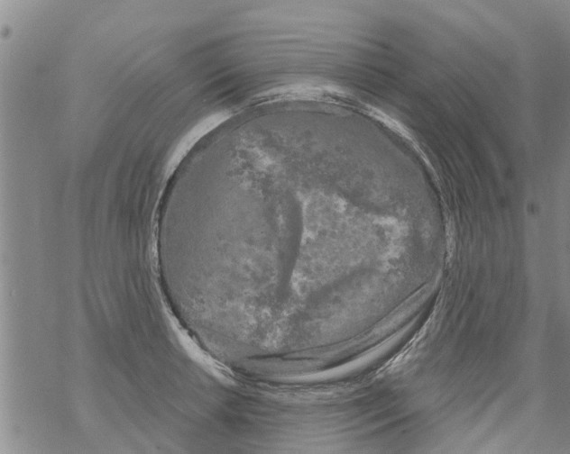 X0000068771042200605262201