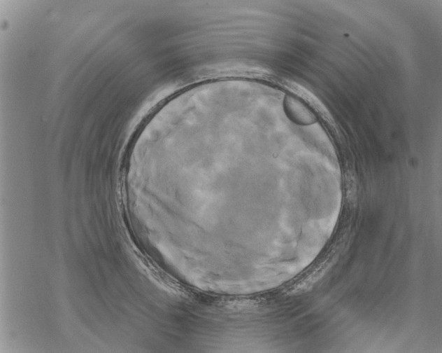 X0000068771043200605262201