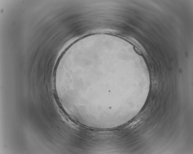 X0000068771044200605262201