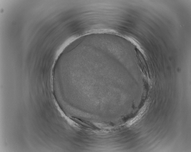 X0000068771046200605262201