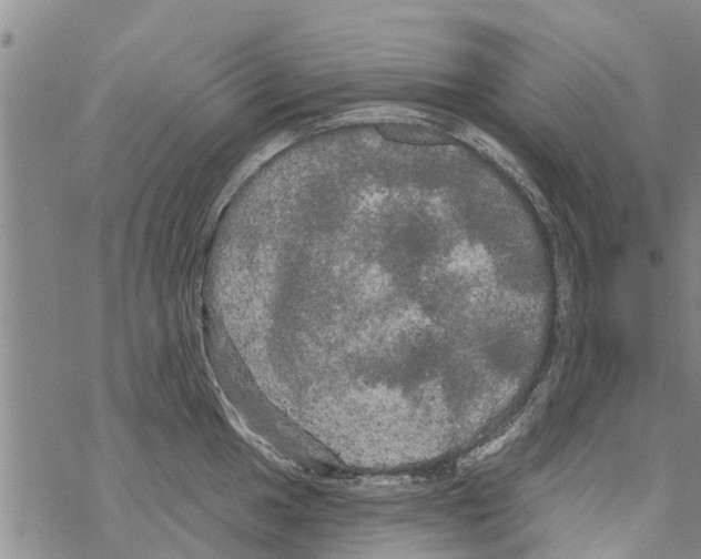 X0000068771049200605262201