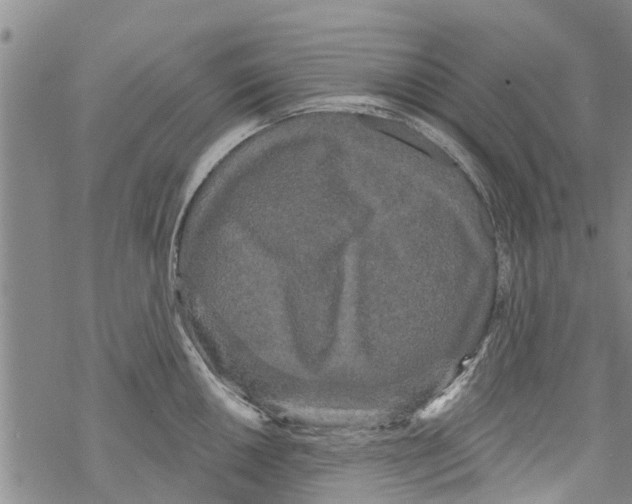 X0000068771050200605262201