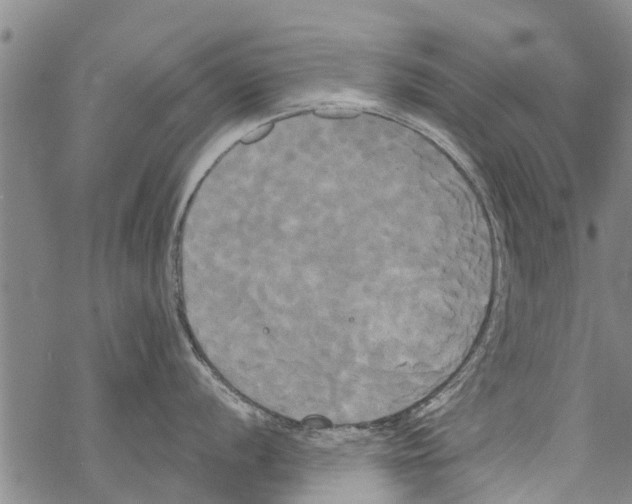 X0000068771056200605262201