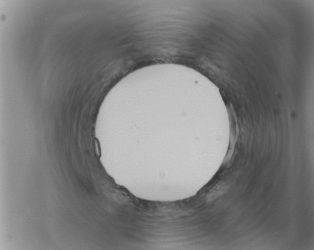 X0000068771057200605262200