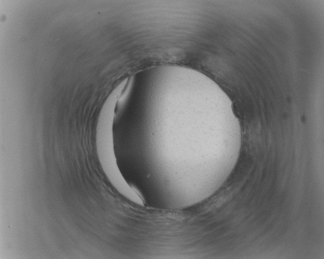 X0000068771058200605262200