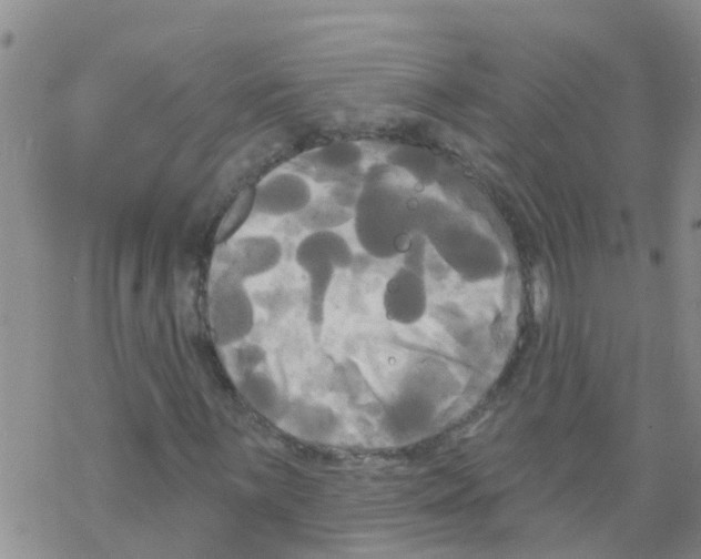 X0000068771059200605262200