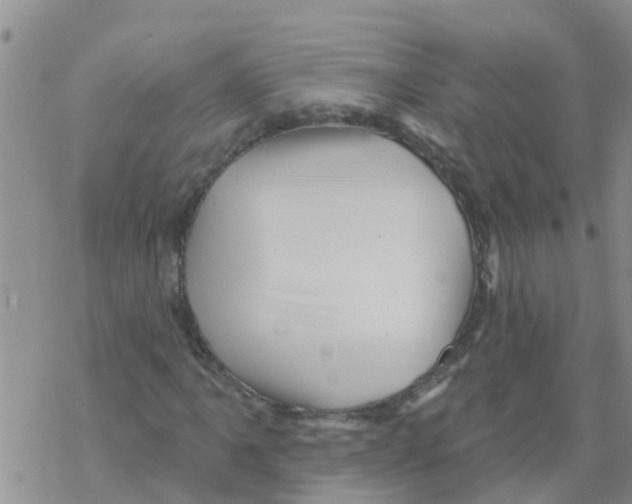 X0000068771061200605262200