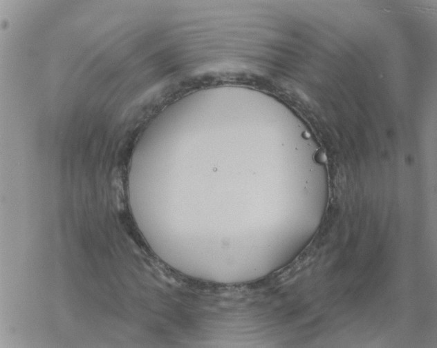 X0000068771062200605262200