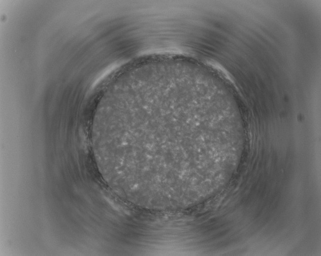 X0000068771064200605262200