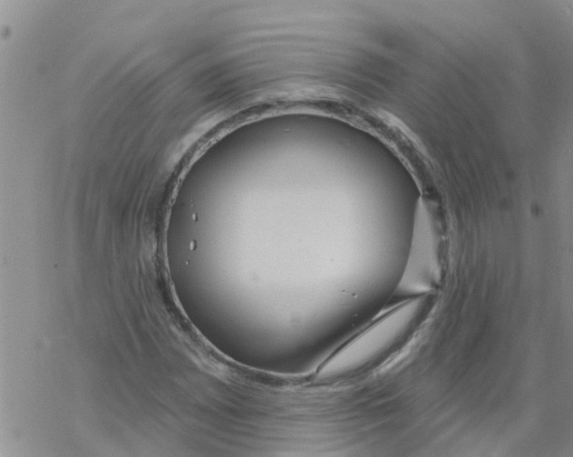 X0000068771065200605262200