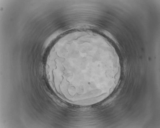 X0000068771067200605262200