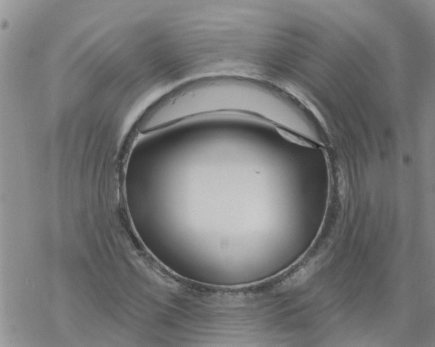 X0000068771069200605262200