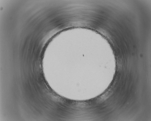 X0000068771070200605262200