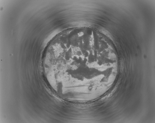 X0000068771071200605262200