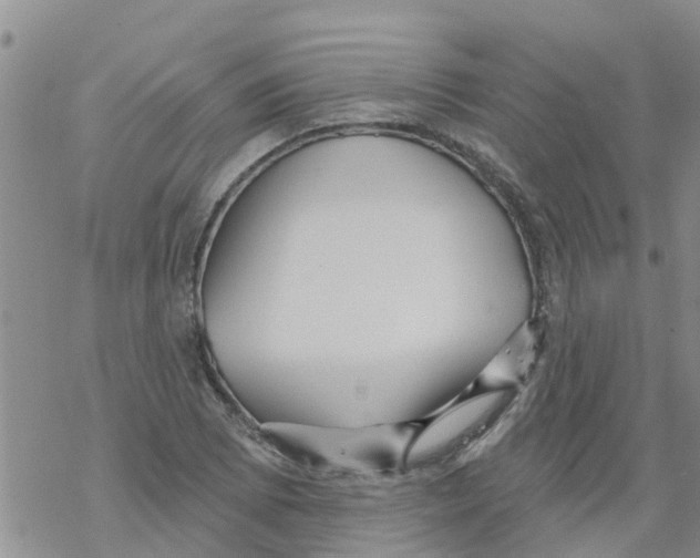 X0000068771073200605262200